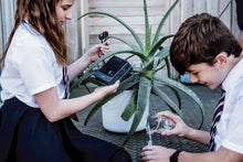 Load image into Gallery viewer, Lab Pack